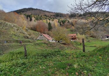 Trail Walking Sewen - Sewe Baerenbach  - Photo