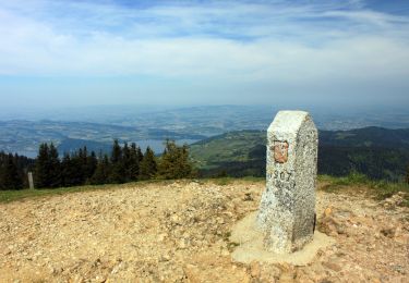 Tocht Te voet Oberägeri - Dreiländerstein - Chlausenchappeli - Photo