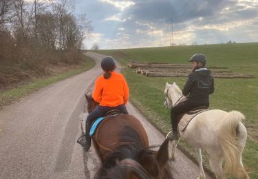 Tour Reiten Fougerolles-Saint-Valbert - La feuillée - Photo