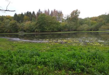 Tour Wandern Cussey-sur-l'Ognon - vallée de l'ognon Cussey - Photo