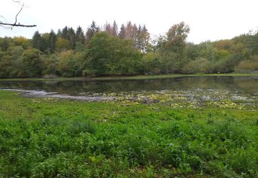 Trail Walking Cussey-sur-l'Ognon - vallée de l'ognon Cussey - Photo