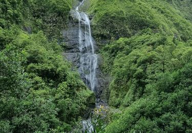Trail Walking Salazie - cascade blanche - Photo