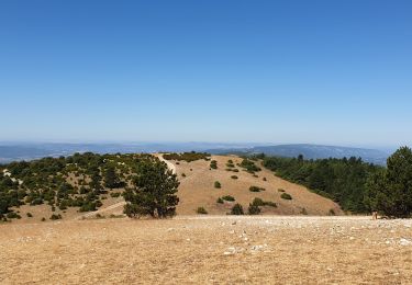 Trail Mountain bike Lourmarin - lourmarin-émetteur Mourre Nègre - Photo