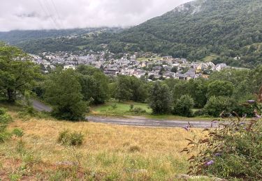 Trail Walking Saint-Lary-Soulan - J6-Pla dAadet soum matte Soulan - Photo