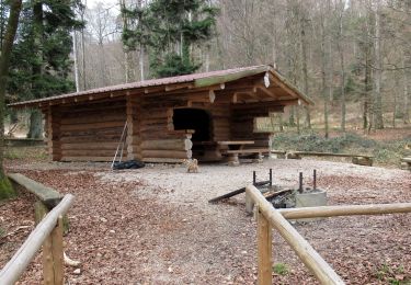 Excursión Senderismo Ferrette - Ferrette Chalet de Koestlach au Kastelberg - Photo