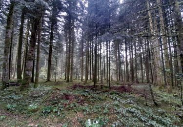 Trail Mountain bike Les Nans - les nans grand tour  - Photo