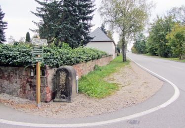 Percorso A piedi Wechselburg - Wechselburg – Winkeln - Photo