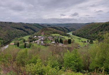 Percorso Marcia Bouillon - Rochehaut 110521 - Photo