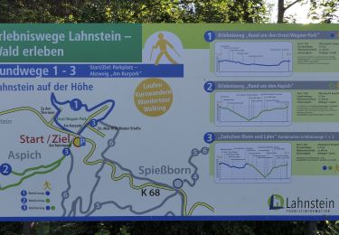 Randonnée A pied Lahnstein - Rheinsteig-Exkursion Spießborner Grillhütte - Photo