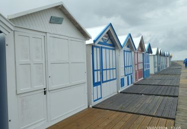 Percorso Marcia Cayeux-sur-Mer - entre le Hourdel et Cailleux - Photo