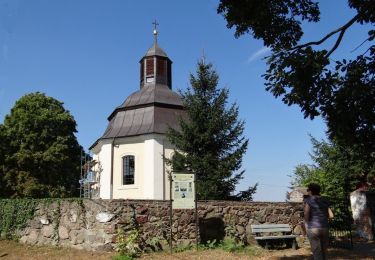 Randonnée A pied Sulęcin - Sulęcin - Żubrów - Photo