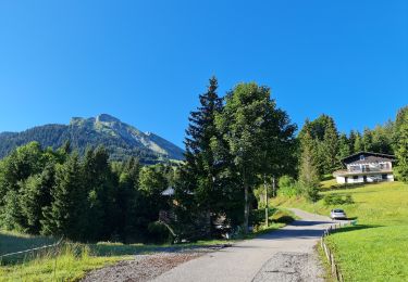 Randonnée Marche La Clusaz - Gotty, Le Planet, Beauregard, La Vargne, Las Corbassières (Boucle) - Photo