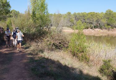 Randonnée Marche Puget-sur-Argens - 10/10/23 oasis village gerard - Photo