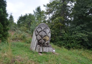 Percorso A piedi Uitikon - Birmensdorf - Ringlikon Haltestelle - Photo