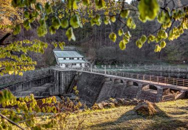 Tocht Te voet Freyung - Rundwanderweg Nr. 1 Saußbach - Ahornöd - Photo