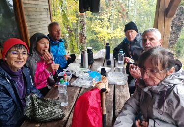 Tour Wandern Steinbach - Rando CLAS du 02/11/2023 - Photo