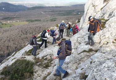 Percorso Marcia Plan-d'Aups-Sainte-Baume - La Sainte Baume - Riboux - La Cabre - Photo