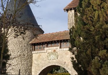 Trail Walking Torvilliers - Torvilliers - Photo