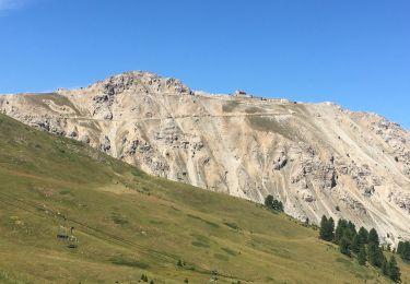 Tocht Stappen Montgenèvre - Le Janus - Photo