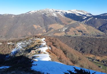 Randonnée Marche Campan - pla de la serre depuis Ste Marie de Campan - Photo