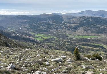 Trail Walking Coursegoules - Coursegoules - La Croix de Versé - Photo