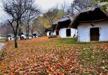 Excursión A pie Kőszeg - SO (Kőszeg - Velem - Kőszegfalva) - Photo