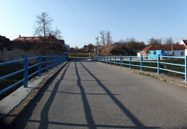 Excursión A pie Uherský Brod - Nivnicka NS - Photo