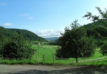 Randonnée A pied Schuttertal - Am Winterberg - Am Kapellenberg - Photo