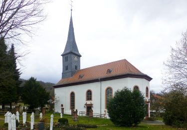 Percorso A piedi Lindenfels - Rundwanderweg Schlierbach 2: Glattbach-Weg - Photo