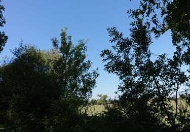 Randonnée Marche Lavau-sur-Loire - lavau sur loire  - Photo