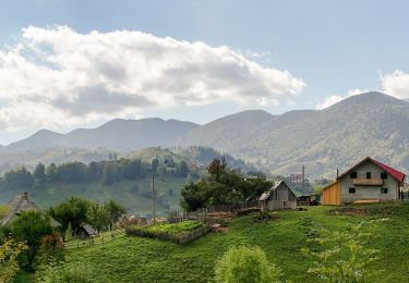 Tour Zu Fuß  - Bran-sub Măgura Mare-Măgura - Photo