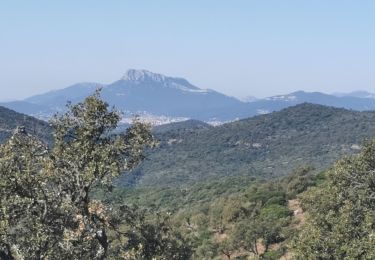 Tour Wandern Hyères - les Borel les 2 - Photo