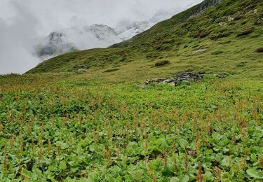 Randonnée Marche Pralognan-la-Vanoise - Le Chalet clou - Photo