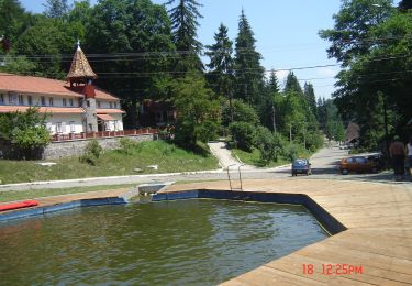 Trail On foot  - Arcuș - Băile Șugaș - Photo