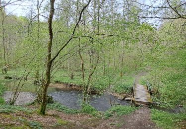 Trail Walking Ciney - Marche ADEPS Chevetogne 2025 - Photo