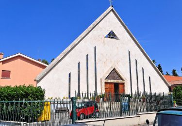 Percorso A piedi Rocca di Papa - Campi d’Annibale - via Pratone della Molara - Photo