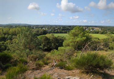 Randonnée Marche Bains-sur-Oust - la baulouise par la potinais - Photo