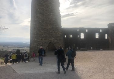 Tour Wandern Châteauneuf-du-Pape - RS Châteauneuf du Pape - Photo