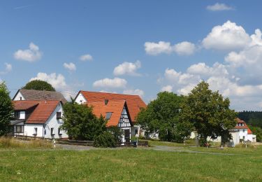 Tour Zu Fuß Obertrubach - Geschwand-Kleingesee - Photo