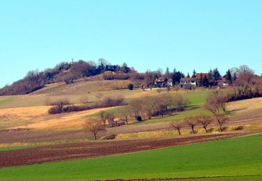 Trail Walking Luzillat - Vendègre_Circuit_Paysager - Photo