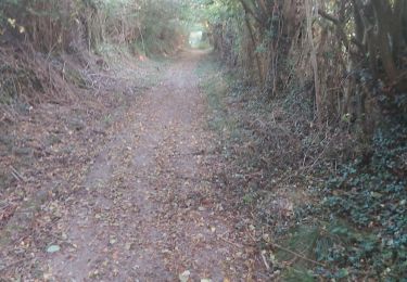 Trail Walking Valorbiquet - St Cyr du Ronceray - Fervaques - Cheffreville - Photo