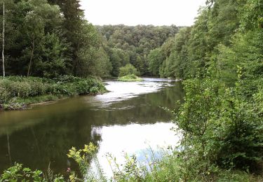 Excursión A pie Lunzenau - Ww Penig-Amerika-Rochsburg-Lunzenau-Göhren-Wechselburg - Photo