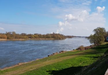 Randonnée Cyclotourisme Saint-Laurent-Nouan - Bois Renard - Blois et retour.  - Photo