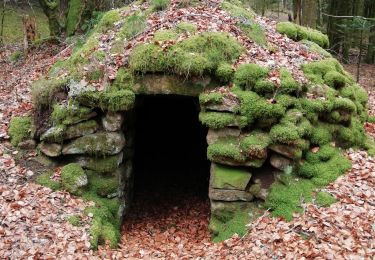 Tour Wandern Tarnac - Fred BC Tarnac - Photo