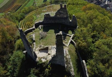 Randonnée A pied Levico Terme - Sentiero del Ronco - Photo