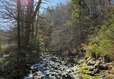 Trail Walking Jalhay - A la découverte de Solwaster 🥾 - Photo