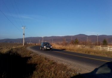 Tocht Te voet  - Stația CFR Bodoc - Vf. Bodoc - Stația CFR Malnaș Băi - Photo