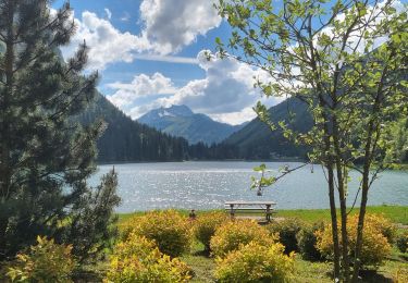 Randonnée Marche Montriond - Lac de Montiond et cascade de l Ardent - Photo