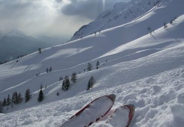 Tour Zu Fuß Pardatsch - IT-E660 - Photo