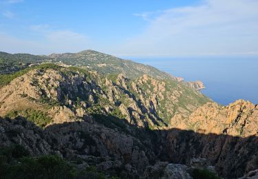 Randonnée Marche Piana - Sentier des muletiers  - Photo